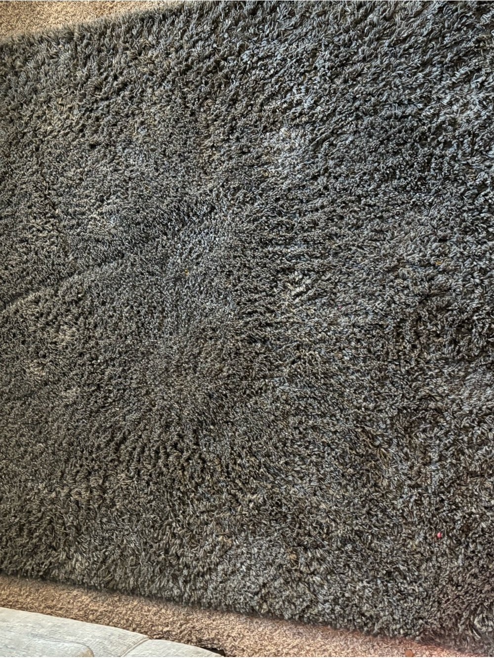 Plush Shag Area Rug in Dark Charcoal Gray